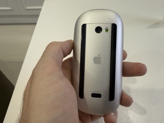 1st generation mouse rear