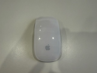 1st generation mouse